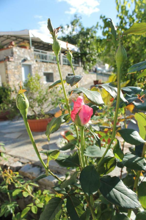 B&B Ca Dei Fre Genoa Luaran gambar